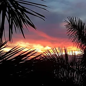playa-bonita.in-canary-islands.com/